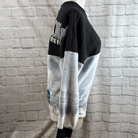 Disneyland Cinderella's Castle Adult Large Spirit Jersey Polar Fleece Pullover - Picture 5 of 9